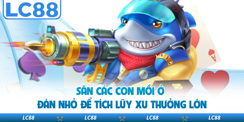 Săn các con mồi ở đàn nhỏ để tích lũy xu thưởng lớn